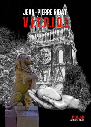 Cover of the book V.I.T.R.I.O.L by Sam Knight