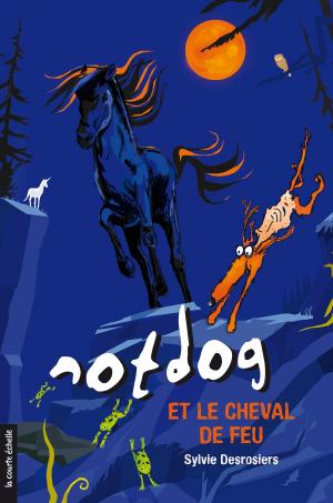 Cover of the book Notdog et le cheval de feu by Sylvain Meunier