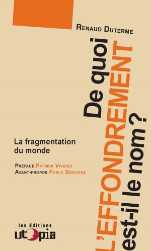 Cover of the book De quoi l’effondrement est-il le nom ? by Thierry Ternisien d'Ouville, Edwy Plenel