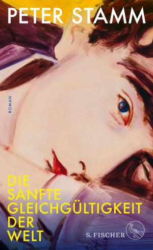 Cover of the book Die sanfte Gleichgültigkeit der Welt by Christoph Ransmayr