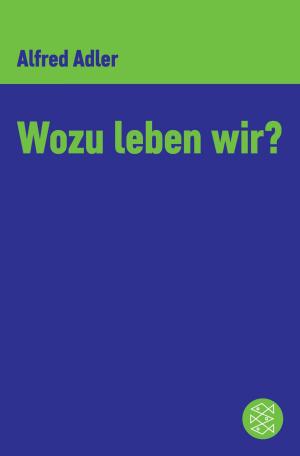 Cover of the book Wozu leben wir ? by Wilhelm Raabe
