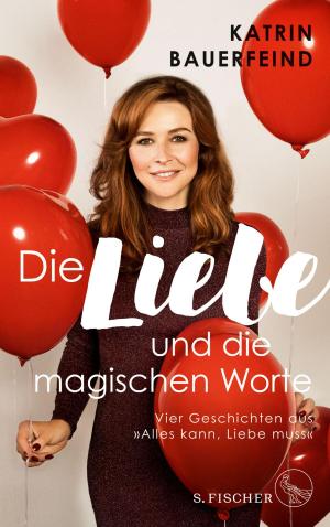 Cover of the book Die Liebe und die magischen Worte by Stephan Ludwig