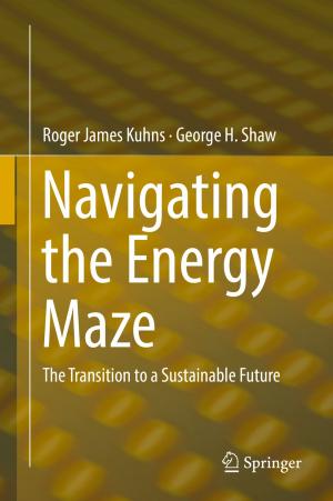 Book cover of Navigating the Energy Maze