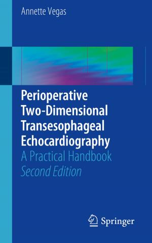Cover of the book Perioperative Two-Dimensional Transesophageal Echocardiography by Jiang Xie, Yi Song