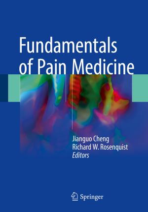 Cover of the book Fundamentals of Pain Medicine by Jan Douwes Visser