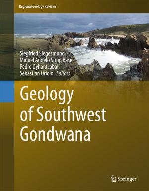 Cover of the book Geology of Southwest Gondwana by S M Blinder, Guido Fano