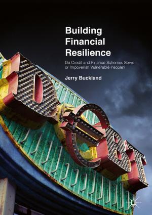 Cover of the book Building Financial Resilience by Johan C.-E. Stén