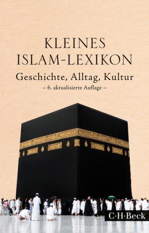 Cover of the book Kleines Islam-Lexikon by Bernhard Lang