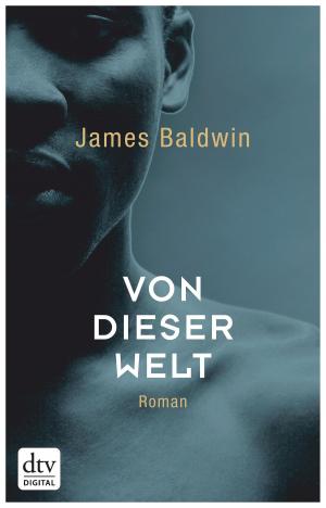Book cover of Von dieser Welt