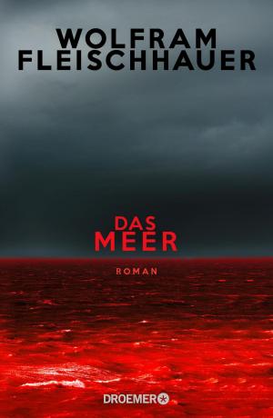 Cover of the book Das Meer by John Pedersen