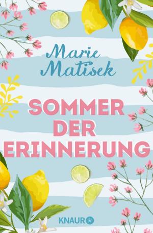 Cover of the book Sommer der Erinnerung by Anna Stein