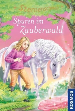 Cover of the book Sternenschweif, 11, Spuren im Zauberwald by Antje Szillat