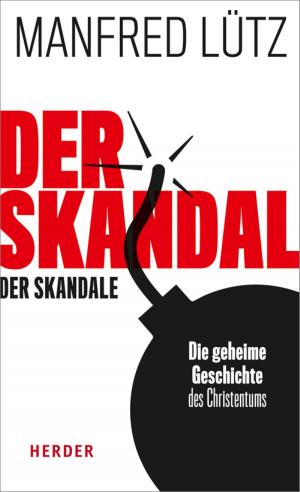 Cover of the book Der Skandal der Skandale by Christa Spannbauer