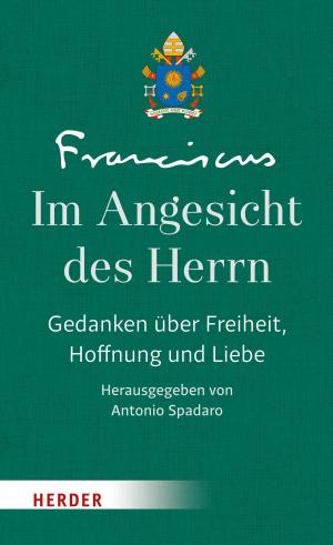 Cover of the book Im Angesicht des Herrn by Anselm Grün
