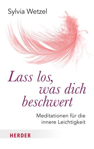 Cover of the book Lass los, was dich beschwert by Antje Sabine Naegeli
