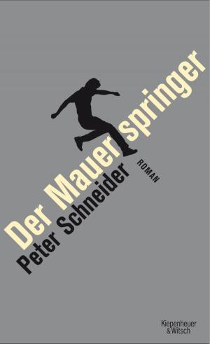 Cover of the book Der Mauerspringer by Daniel Pennac