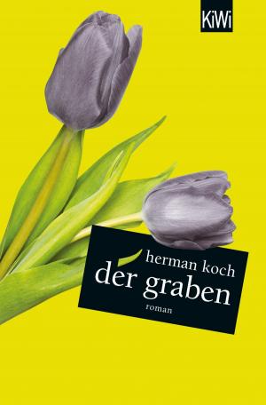 Book cover of Der Graben