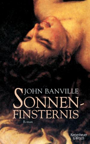 Book cover of Sonnenfinsternis