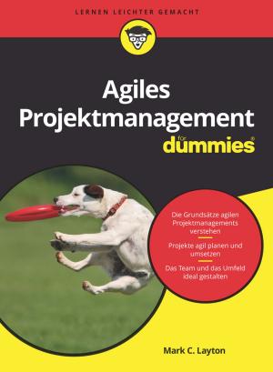 Cover of the book Agiles Projektmanagement für Dummies by Lu Ann Aday, Llewellyn J. Cornelius