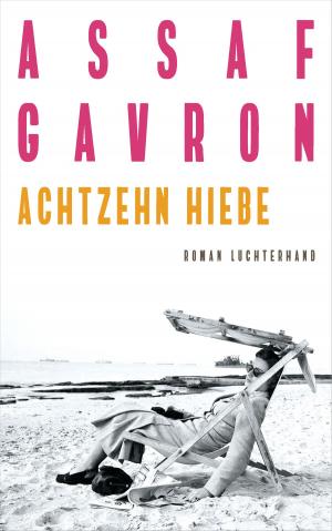Cover of the book Achtzehn Hiebe by Ulrike Draesner