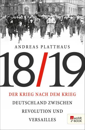Cover of the book Der Krieg nach dem Krieg by Andreas Winkelmann