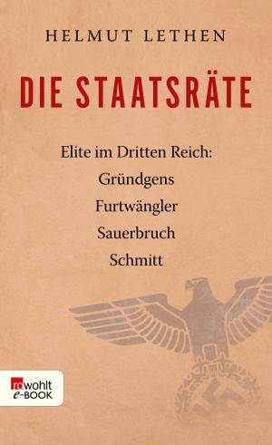 Cover of the book Die Staatsräte by Michael Lukas Moeller