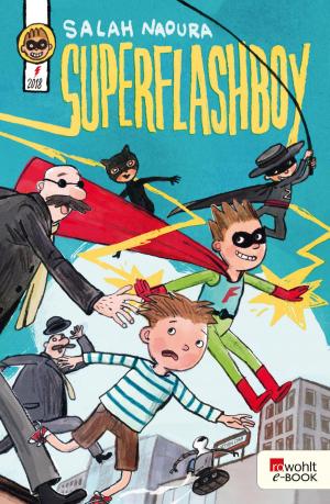 Cover of the book Superflashboy by Stephan Serin