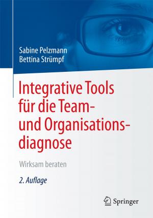 Cover of the book Integrative Tools für die Team- und Organisationsdiagnose by Hartmut H. Biesel