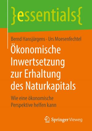 Cover of the book Ökonomische Inwertsetzung zur Erhaltung des Naturkapitals by Michael Hilgers