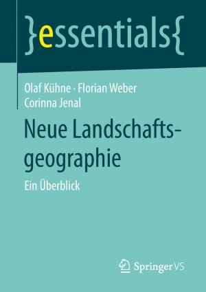 Book cover of Neue Landschaftsgeographie
