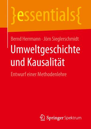 Cover of the book Umweltgeschichte und Kausalität by Martin Elbe