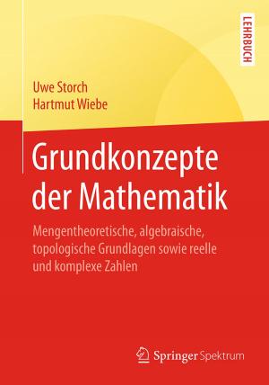 Cover of the book Grundkonzepte der Mathematik by Francis S. Weill