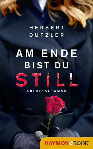 Cover of the book Am Ende bist du still by Joe Fischler