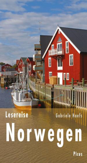 Cover of the book Lesereise Norwegen by Luigi Reitani