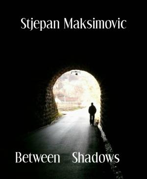 Cover of the book Between Shadows by Karthik Poovanam