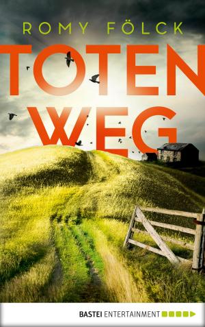 Cover of the book Totenweg by Timothy Hegarty