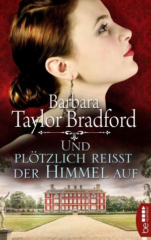 Cover of the book Und plötzlich reißt der Himmel auf by David LeVine