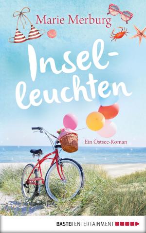 Cover of the book Inselleuchten by Stefan Frank
