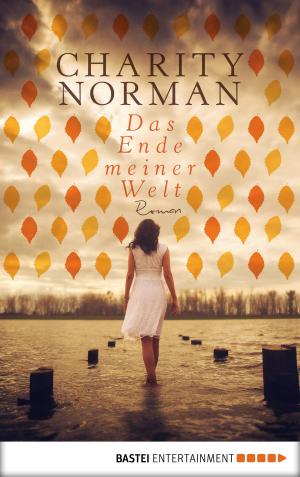 Cover of the book Das Ende meiner Welt by Christine Feehan
