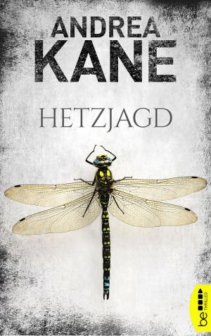 Cover of the book Hetzjagd by Harald Braun