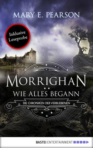 Book cover of Morrighan - Wie alles begann
