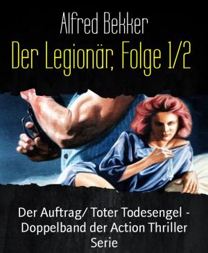 Cover of the book Der Legionär, Folge 1/2 by Elan Mufti