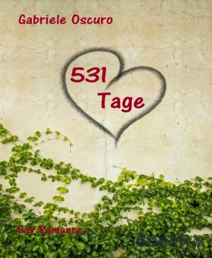 Cover of the book 531 Tage by XHANTILOMZI MKALIPHI