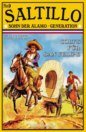 Book cover of SALTILLO #9: Colts für San Felipe