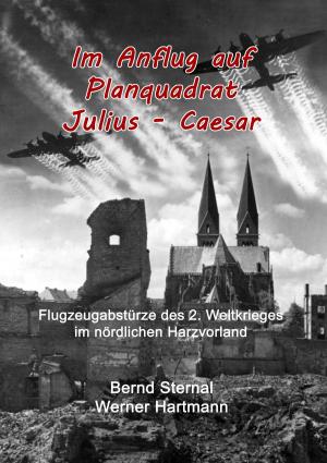 Cover of the book Im Anflug auf Planquadrat Julius - Caesar by Sarah Debus, Andreas Vohns, Theo Overhagen