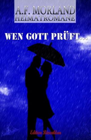 Cover of the book Wen Gott prüft by Mattis Lundqvist