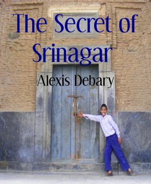Book cover of The Secret of Srinagar