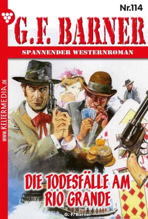 Cover of the book G.F. Barner 114 – Western by Claudia Torwegge