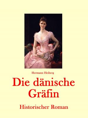 Cover of the book Die dänische Gräfin by Josephine Siebe
