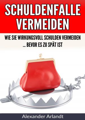 Book cover of Schuldenfalle vermeiden